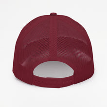 Load image into Gallery viewer, SP Club Snapback Hat
